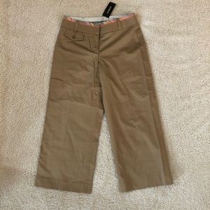 Express Design Studio Crop Pants